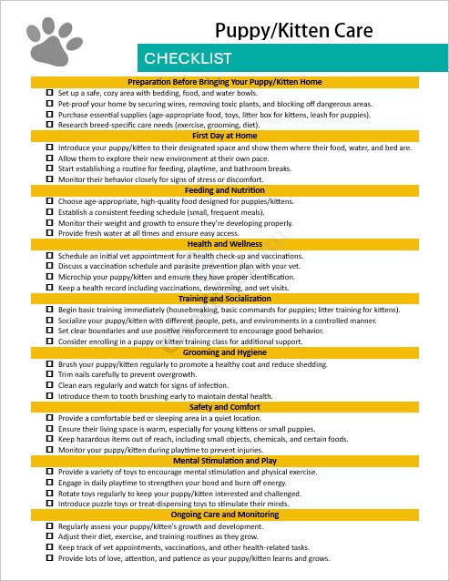 Puppy/Kitten Care Template